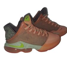 Lebron james nike for sale  Gainesville