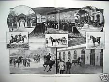 1900 cavalli scuderia usato  Milano
