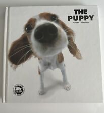 Puppy artist collection for sale  UK