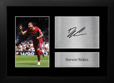 Darwin nunez liverpool for sale  UK