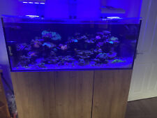 reef tank for sale  LIVERPOOL