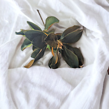 Inch magnolia artificial for sale  Azusa