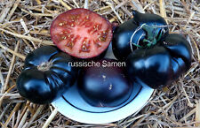 Tomaten black beauty gebraucht kaufen  Rostock