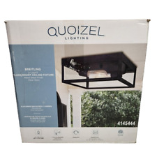 Quoizel lighting flush for sale  Butler