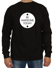 Awesome today sweater gebraucht kaufen  Burg