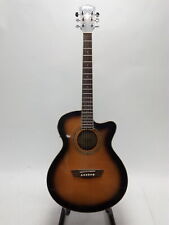 washburn acoustic for sale  Shipping to South Africa