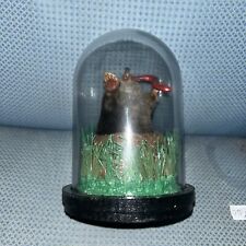 Taxidermy mole glass for sale  MACHYNLLETH