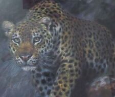 Large original leopard for sale  NEWENT
