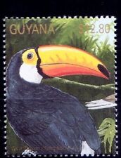 Tucano comum, tucano gigante, toco tucano, pássaros, Guiana 1990, sem marca de charneira comprar usado  Enviando para Brazil