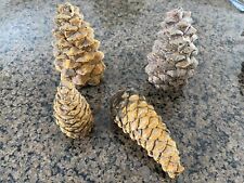 Ceramic pine cones for sale  Round Hill