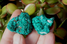 Lot dioptase congo d'occasion  Lagnieu