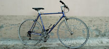 Raleigh bici corsa usato  Ferrera Erbognone
