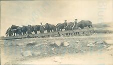 1911 original photo for sale  ROSSENDALE