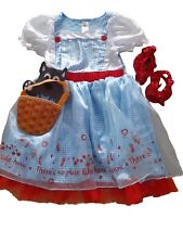 Dorothy..wizard oz..fancy dres for sale  SWANSEA