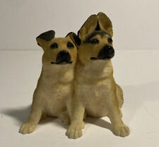 alsatian puppies for sale  CARLISLE