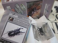 TAKARA - Beetle of the World 6 - Odontolabis intermedia Lg Mini Figure - R81 for sale  Shipping to South Africa