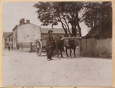 Auvergne 1900 attelage d'occasion  Ballon