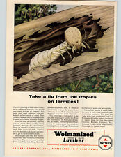 1955 paper color for sale  Wooster
