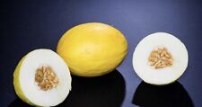 Canary melon seeds for sale  New York