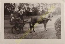 Foto B&W 3,5 x 5 Dear Aunt Linnie Pony com carrinho de puxar mulheres e crianças  comprar usado  Enviando para Brazil