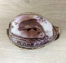 Etched cowrie tiger for sale  Ely