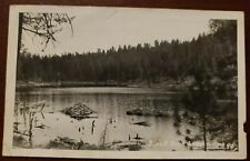 RPPC Black Pine Lake Washington State Vintage Postcard w Twisp xcel for sale  Shipping to South Africa