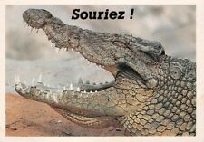 Carte crocodile d'occasion  Rioz