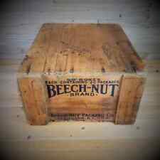 Antique beech nut d'occasion  Expédié en Belgium