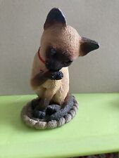 Siamese cat licking for sale  SHANKLIN