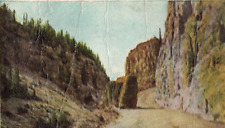 C1905 Golden Gate Yellowstone National Park Road Palisade Rocks Vintage Postcard for sale  Shipping to South Africa