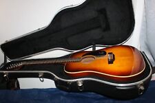 epiphone 12 string acoustic guitar for sale  Elgin