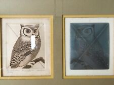Screech owl weller for sale  Morrisville