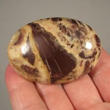 2.3 coconut jasper for sale  Acworth