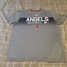 Aneihm angels gray for sale  Osceola