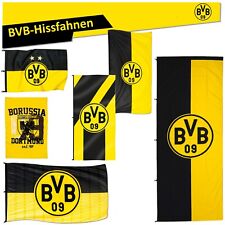 Bvb borussia dortmund gebraucht kaufen  Lübbecke