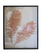 Framed fern herbarium for sale  Manhattan