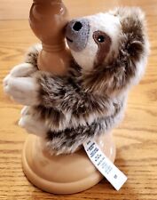 pet sloth for sale  Riverton