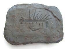 Replica cambrian fossil for sale  SWINDON