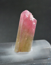 Liddicoatite Tourmaline Crystal, Sahatany Valley, Madagascar 26 mm for sale  Shipping to South Africa