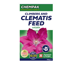 Chempak climbers clematis for sale  IPSWICH