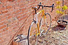 1986 Trek 560 Pro Series Singlespeed, Yellow/White, 56cm — Reynolds 531 Steel for sale  Shipping to South Africa