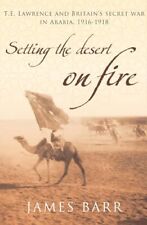 Setting desert fire for sale  USA