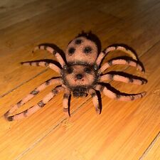 Large fake tarantula for sale  WALSALL