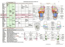 Reflexology foot chart for sale  Shipping to Ireland