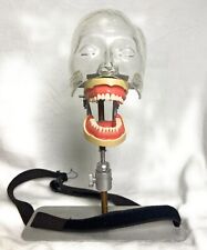 Dental phantom head for sale  Pendleton