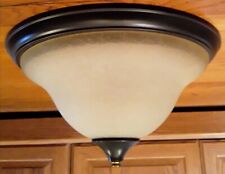 Ceiling light faux for sale  Rockford