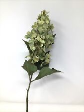 Cone hydrangea floral for sale  Novi