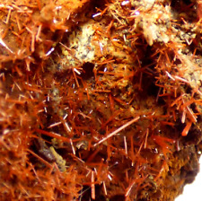 Crocoite crystal cluster for sale  BLACKPOOL