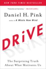 Drive: The Surprising Truth about What Motivates Us por Daniel H. Pink comprar usado  Enviando para Brazil