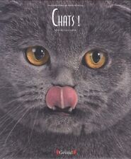 Chats d'occasion  France